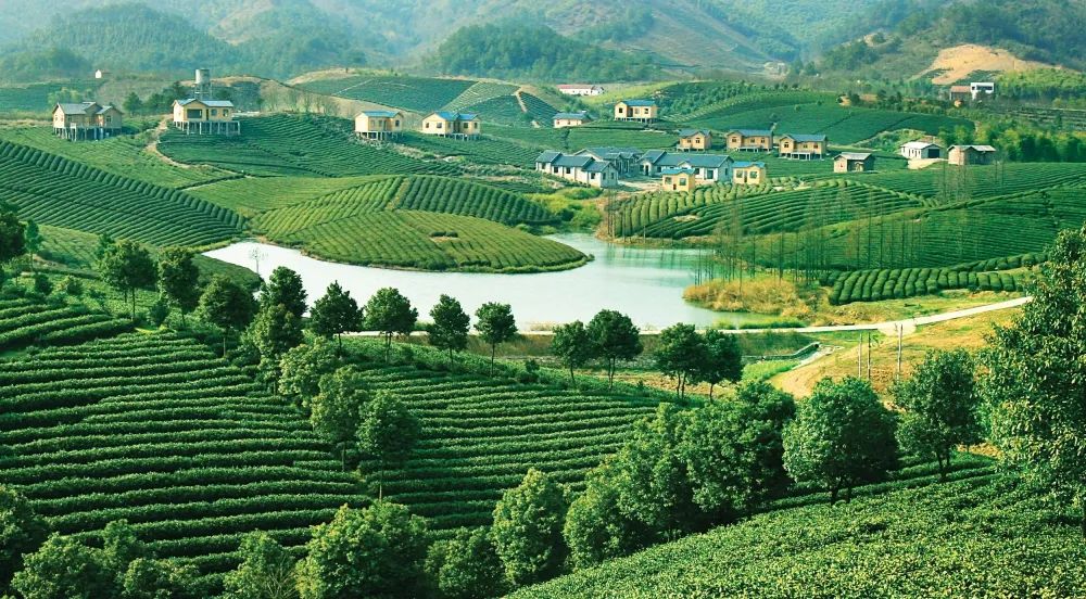 系統(tǒng)保護(hù)穩(wěn)定生態(tài)